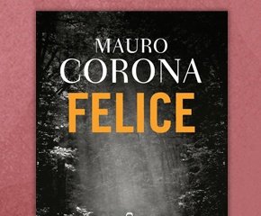 corona_contentslider