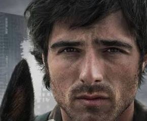 dog_contentslider